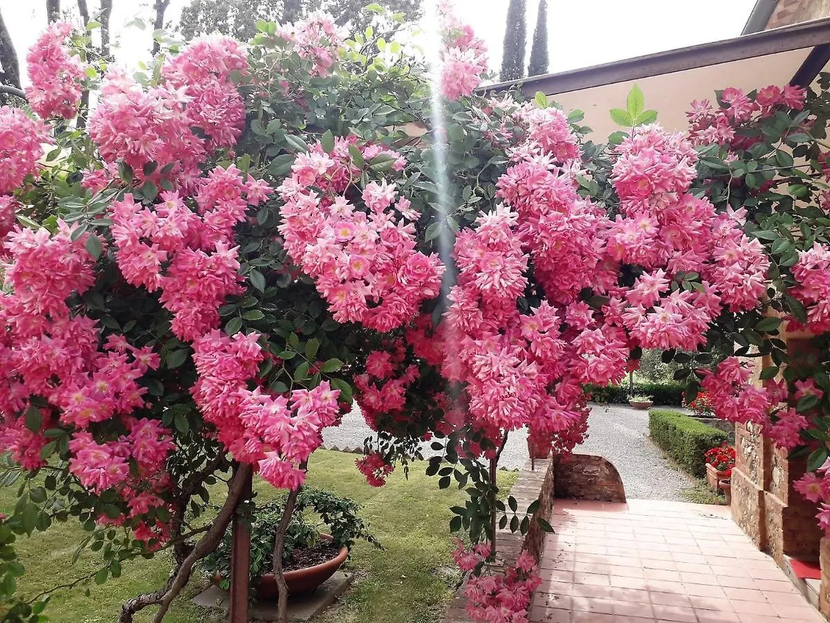 Hotel Villa Curina Resort Castelnuovo Berardenga