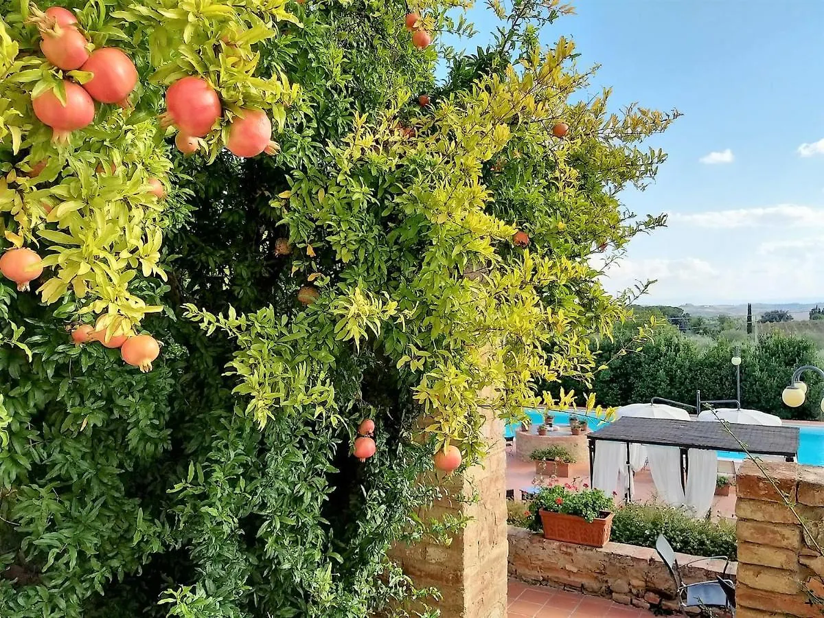 Villa Curina Resort Castelnuovo Berardenga Hotel